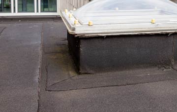 disadvantages of Bleet flat roofs