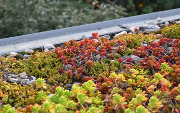 the cost of Bleet green roof installation