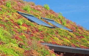 Bleet living roof systems