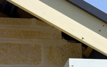 soffit repair Bleet