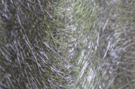 Bleet fibreglass roof work