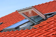 Bleet roof window