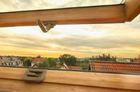 rated Bleet roof window companies